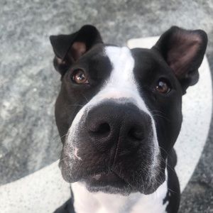 Meet your Posher, Gabriela